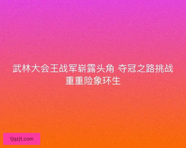 武林大会王战军崭露头角 夺冠之路挑战重重险象环生