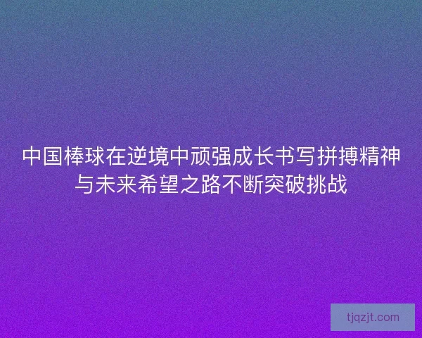 中国棒球在逆境中顽强成长书写拼搏精神与未来希望之路不断突破挑战